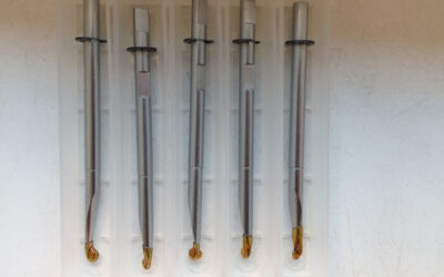 Aster G072070