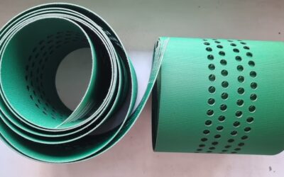 KBA M8403470 Belt