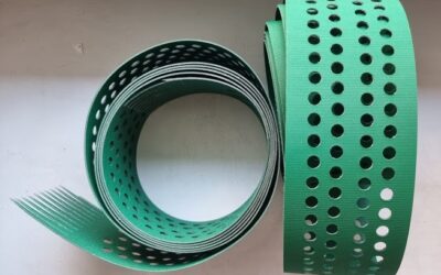 KBA M8403480 Belt